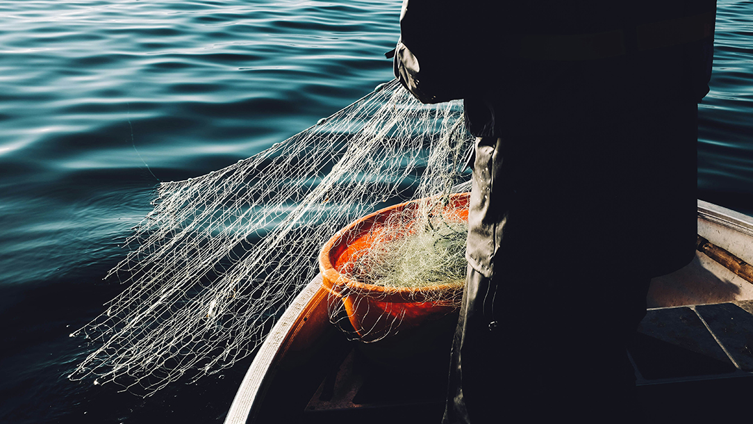 ISEI Dorong Hilirisasi Perikanan Lewat Investasi dan Penguatan Rantai Pasok